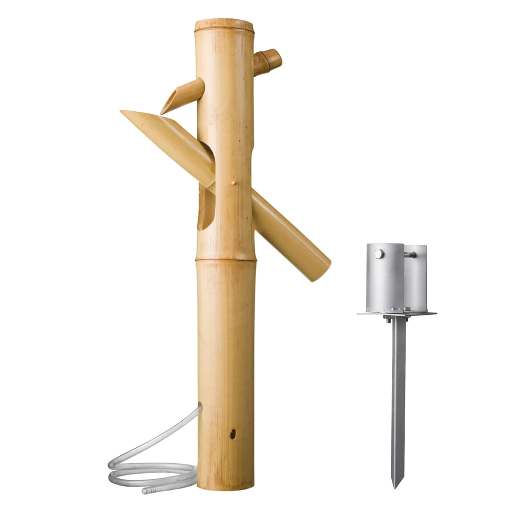 69033097