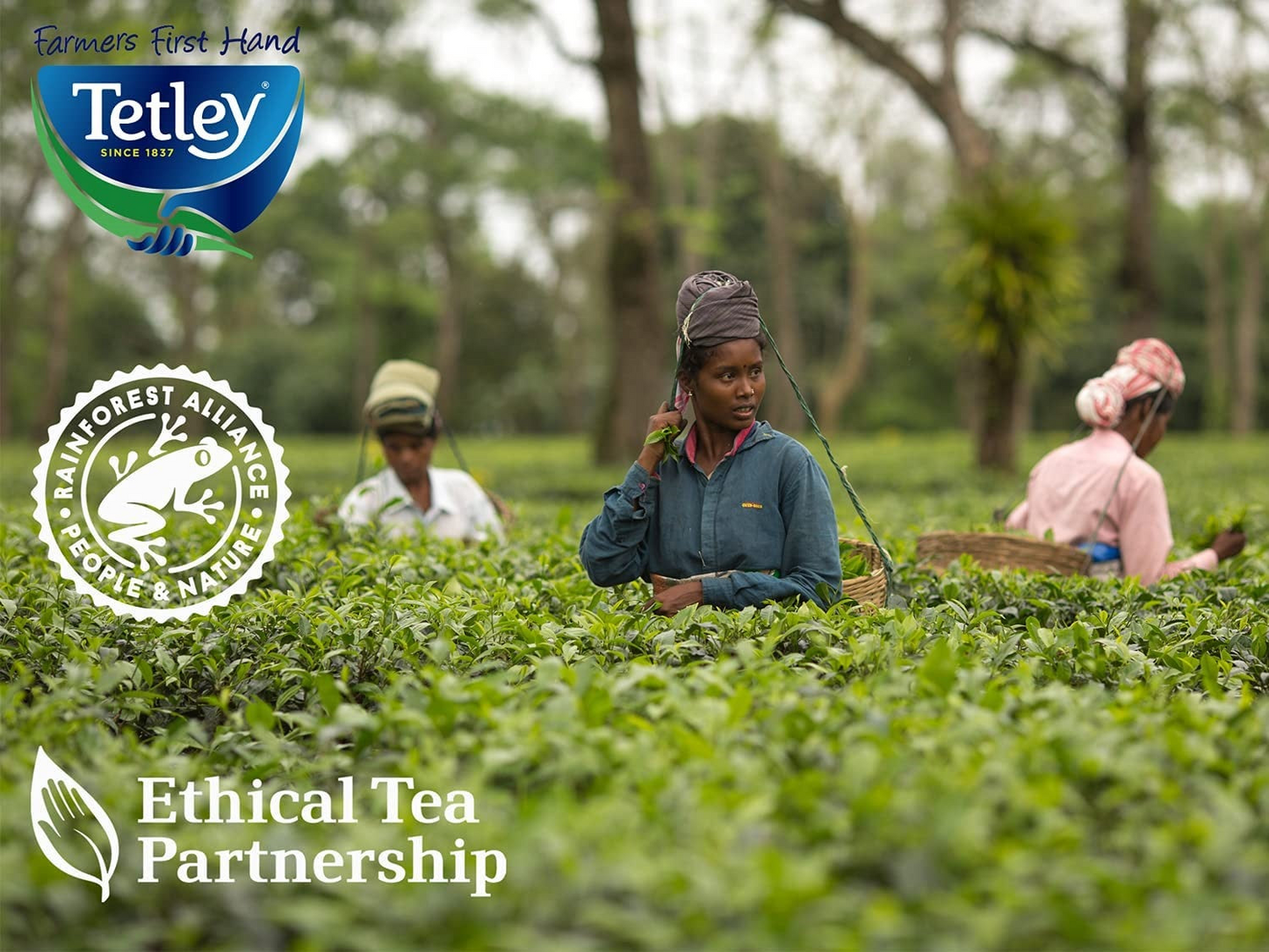 82347608