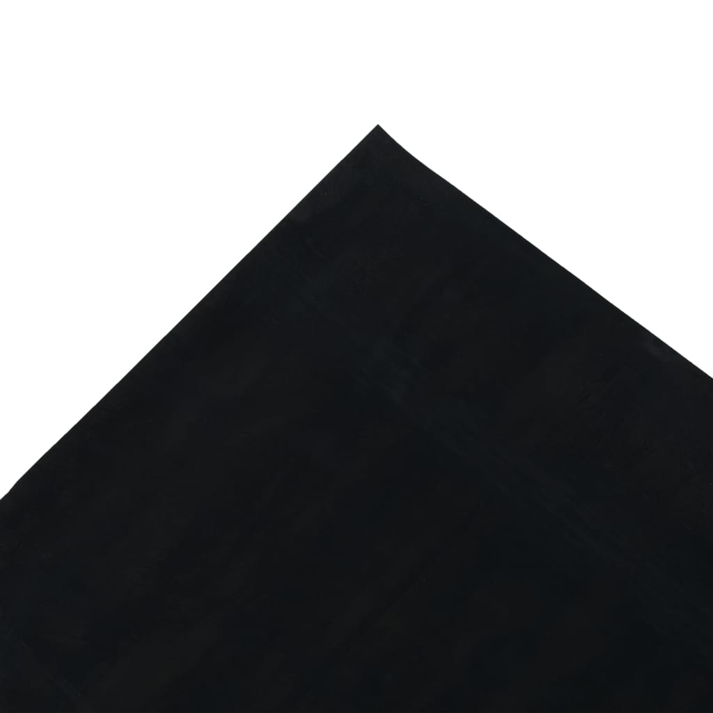 68991531