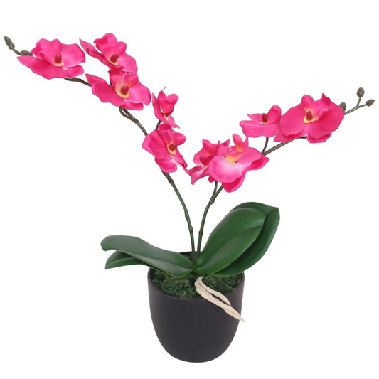 68992642