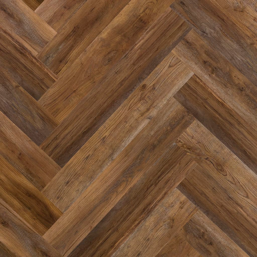 69059586