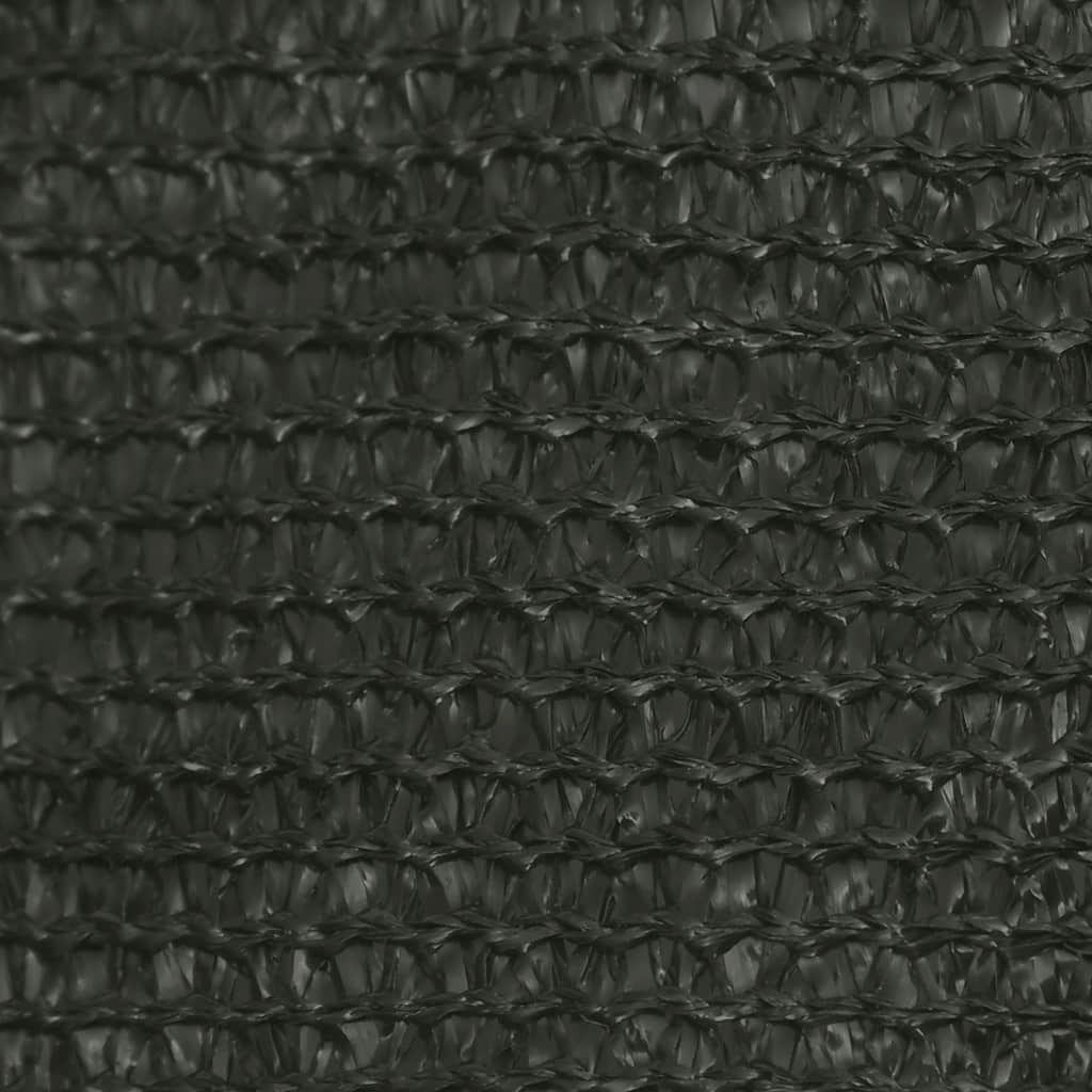 69043481