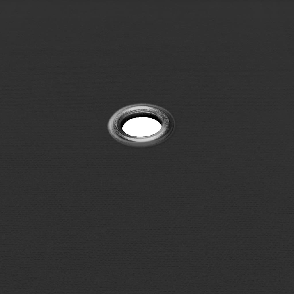 69041580