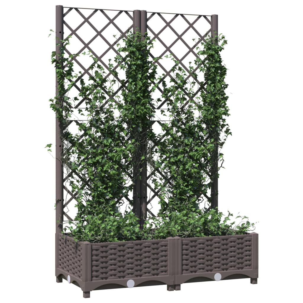 69031163