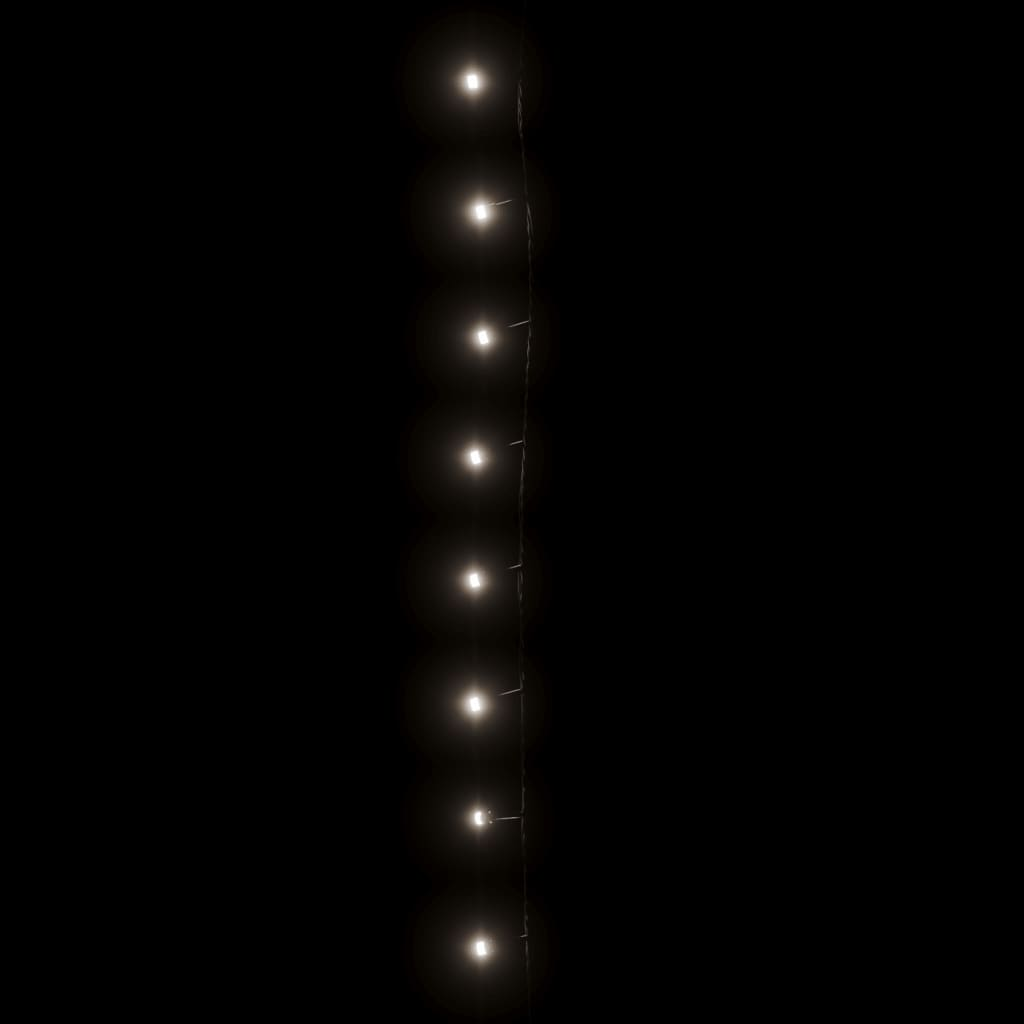 69063581