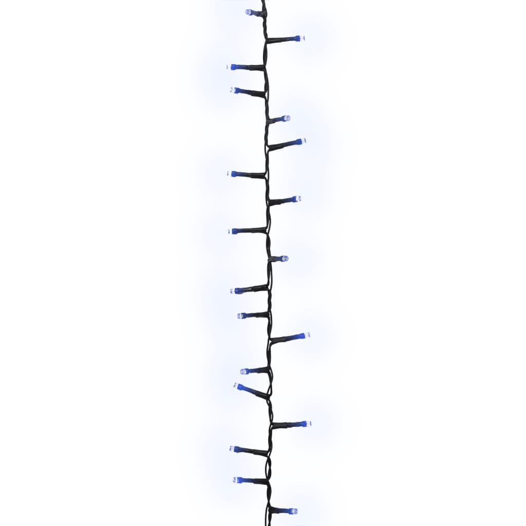 69056009