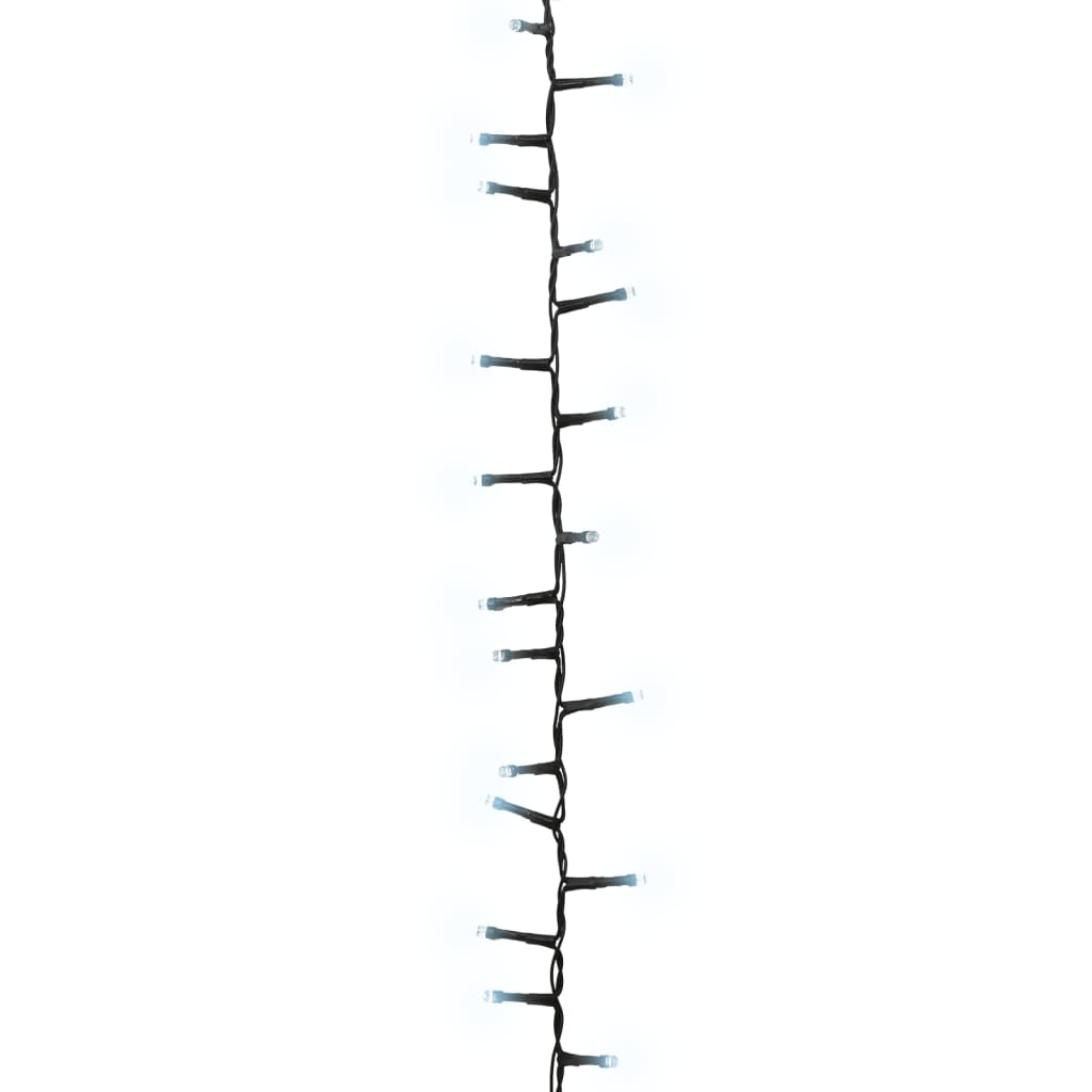 69018531