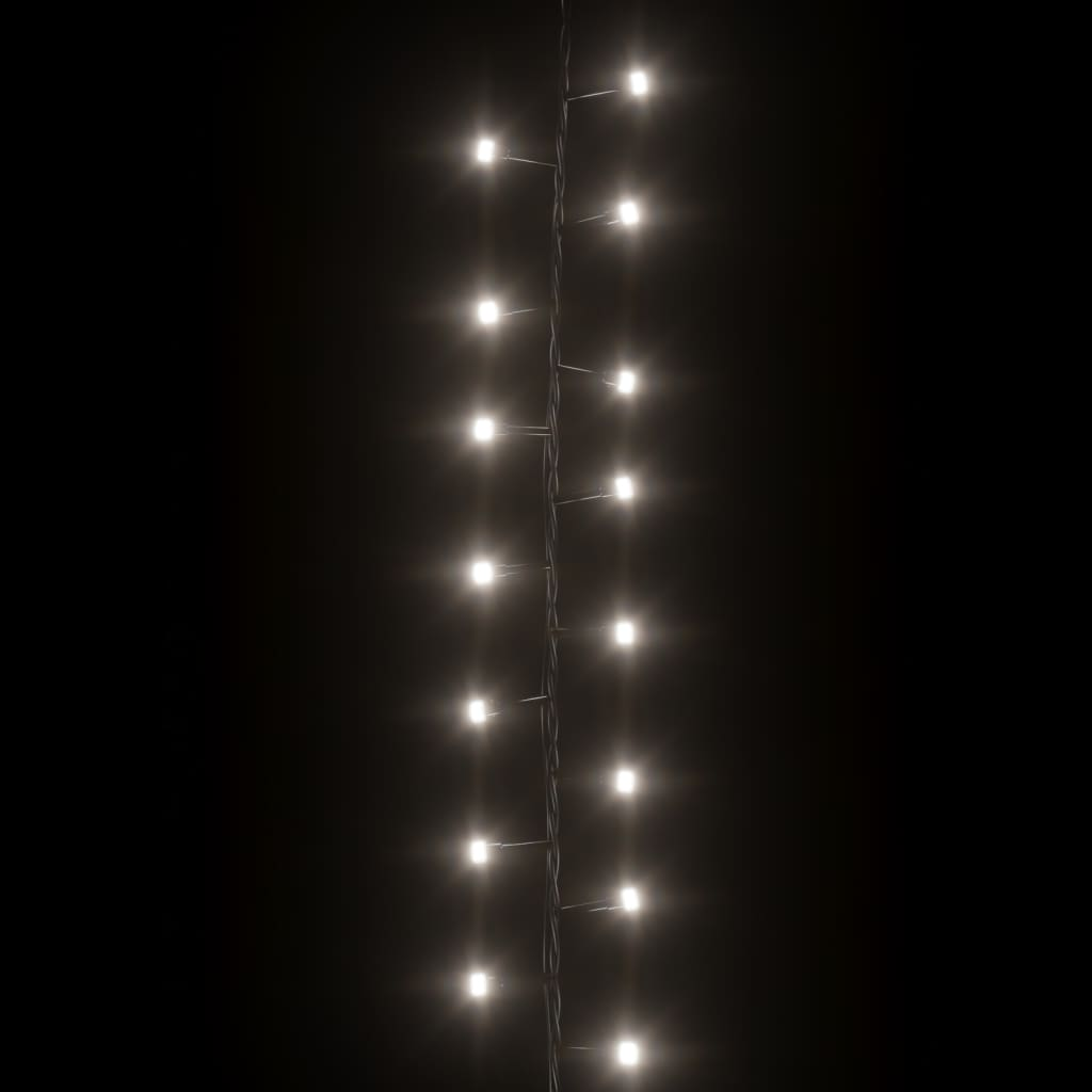 69018533