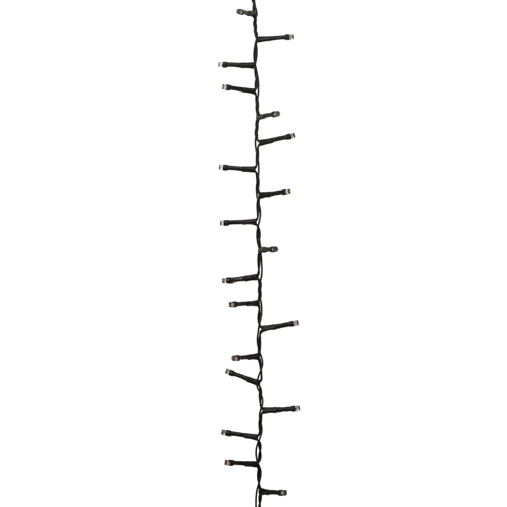 69018534