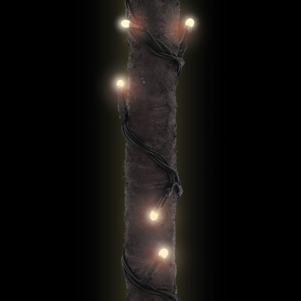69056125