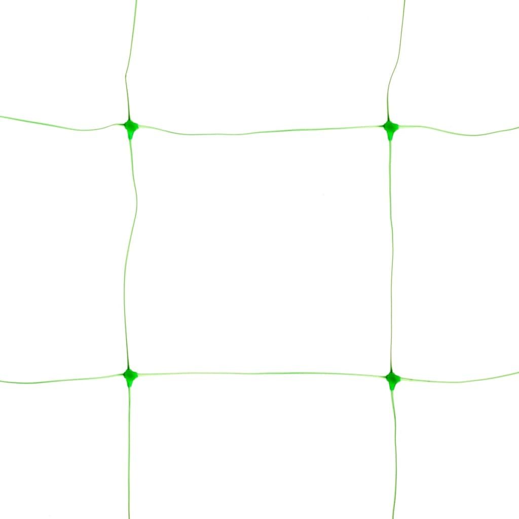 69034544