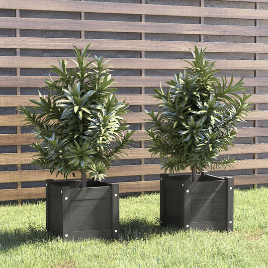 68969870