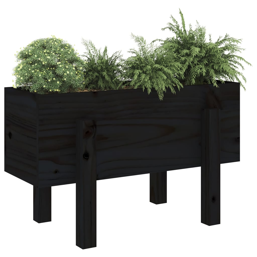 68947448