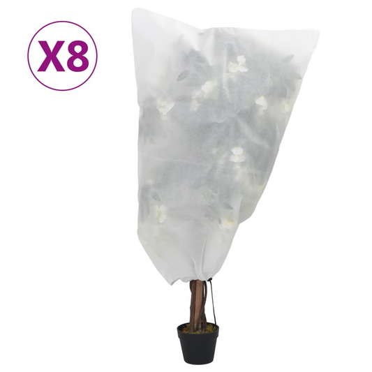 68967804