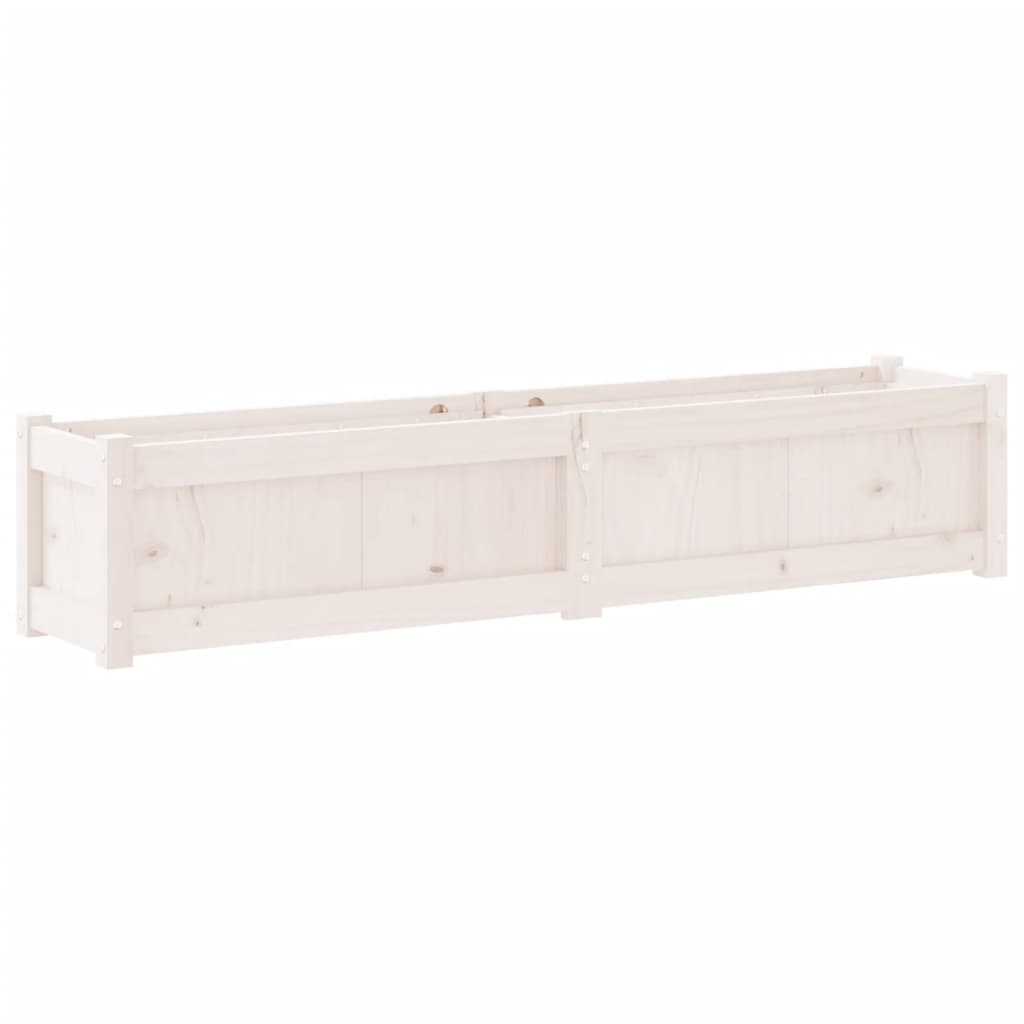 69068733