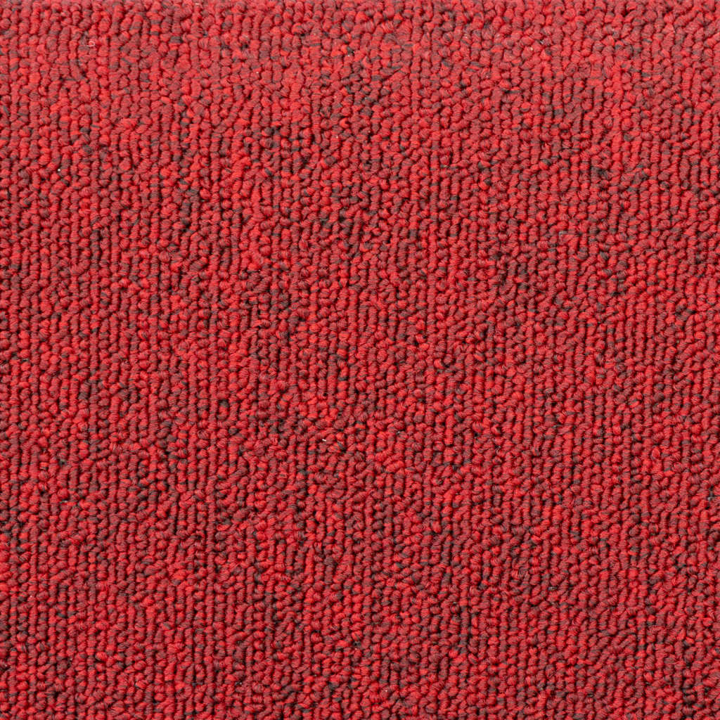 69010454