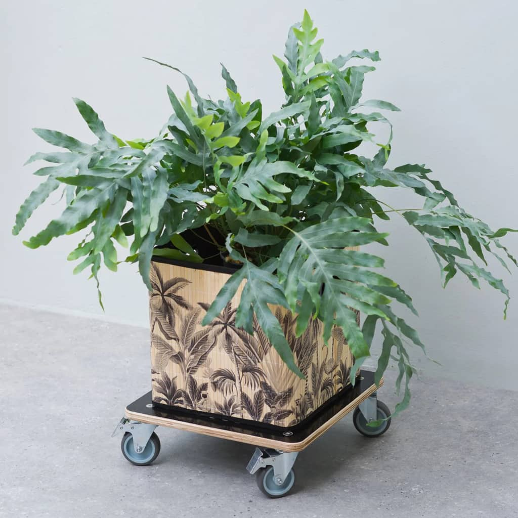 69098156