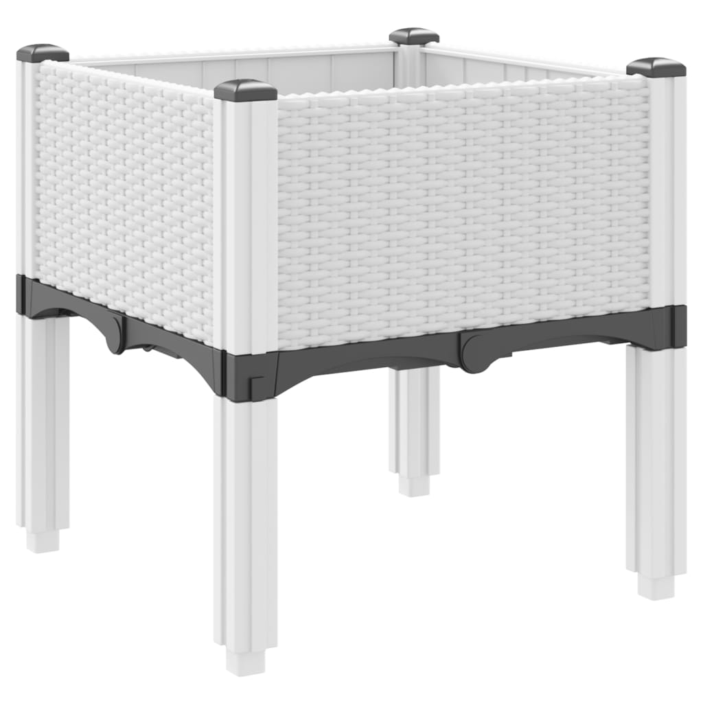 68984137