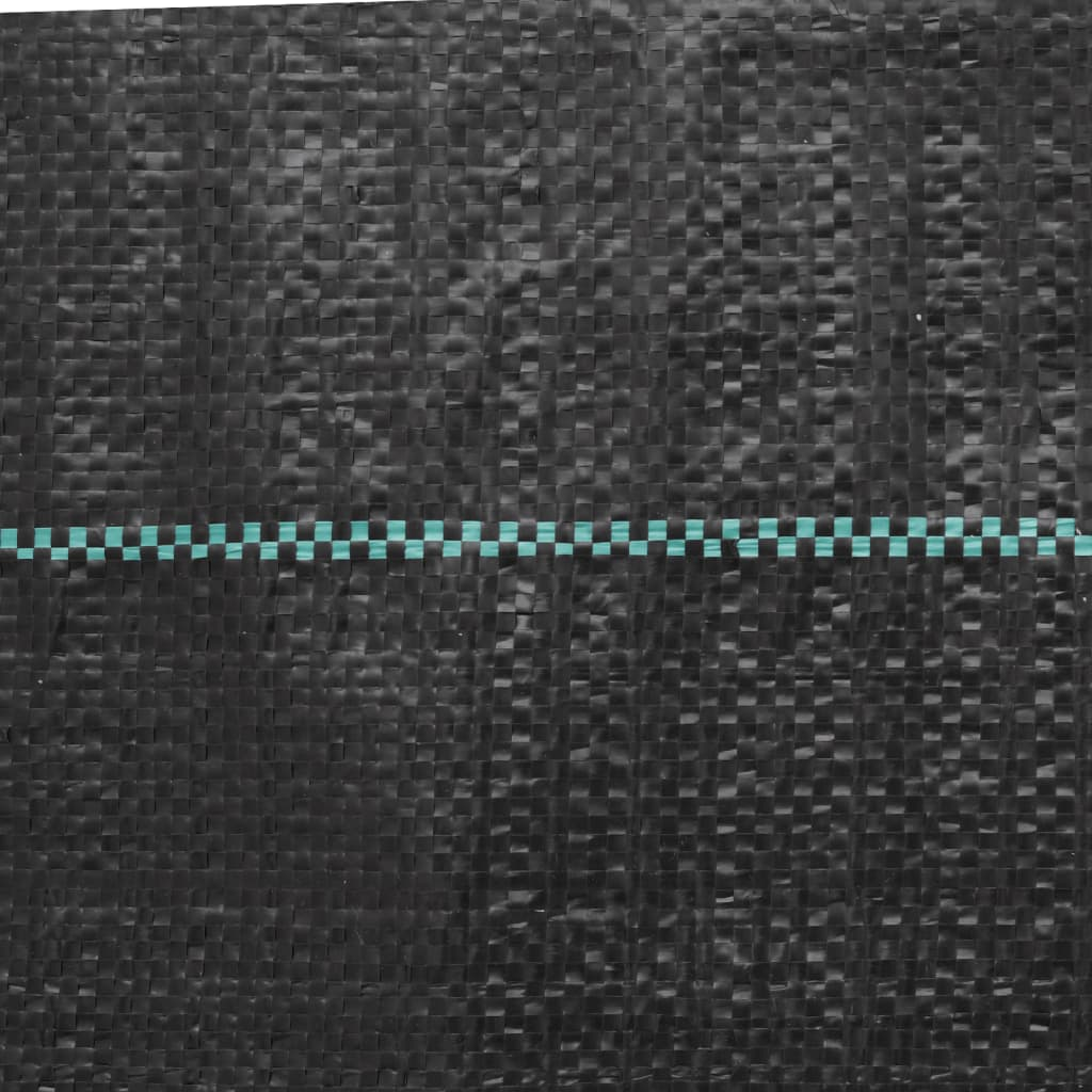 69017007