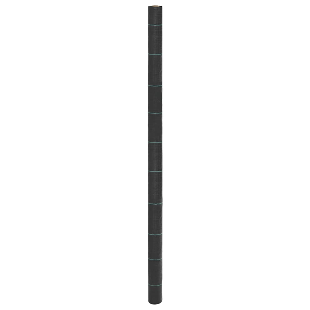69033353