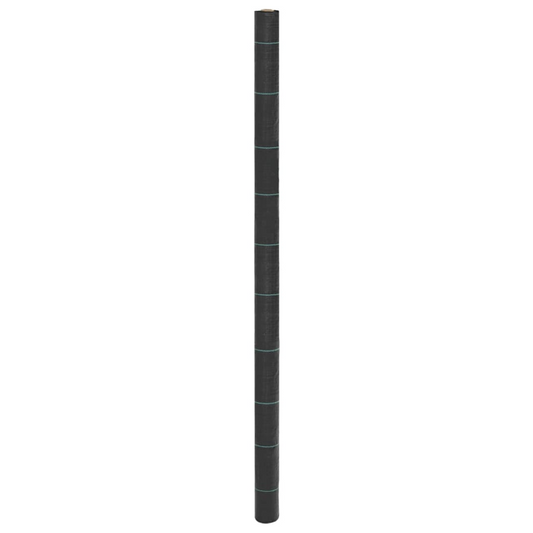 69033353