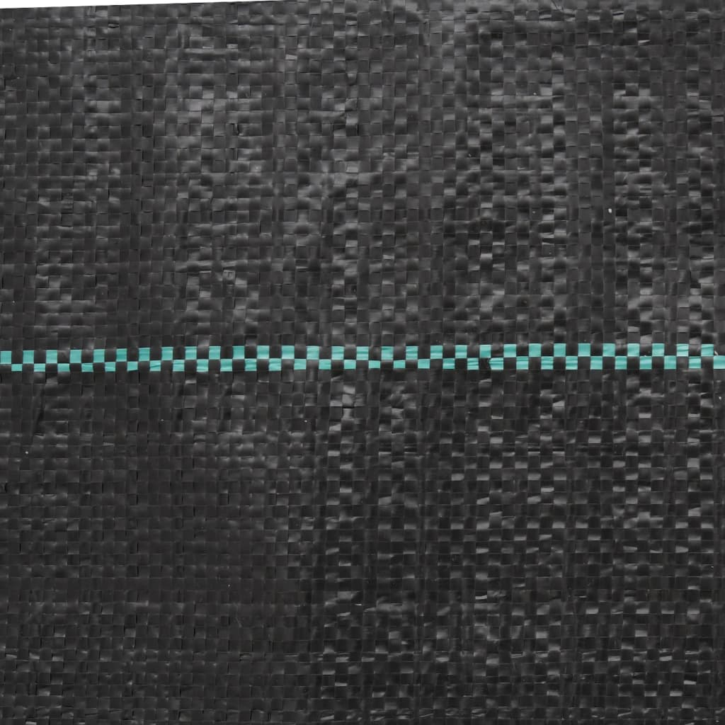 69031593