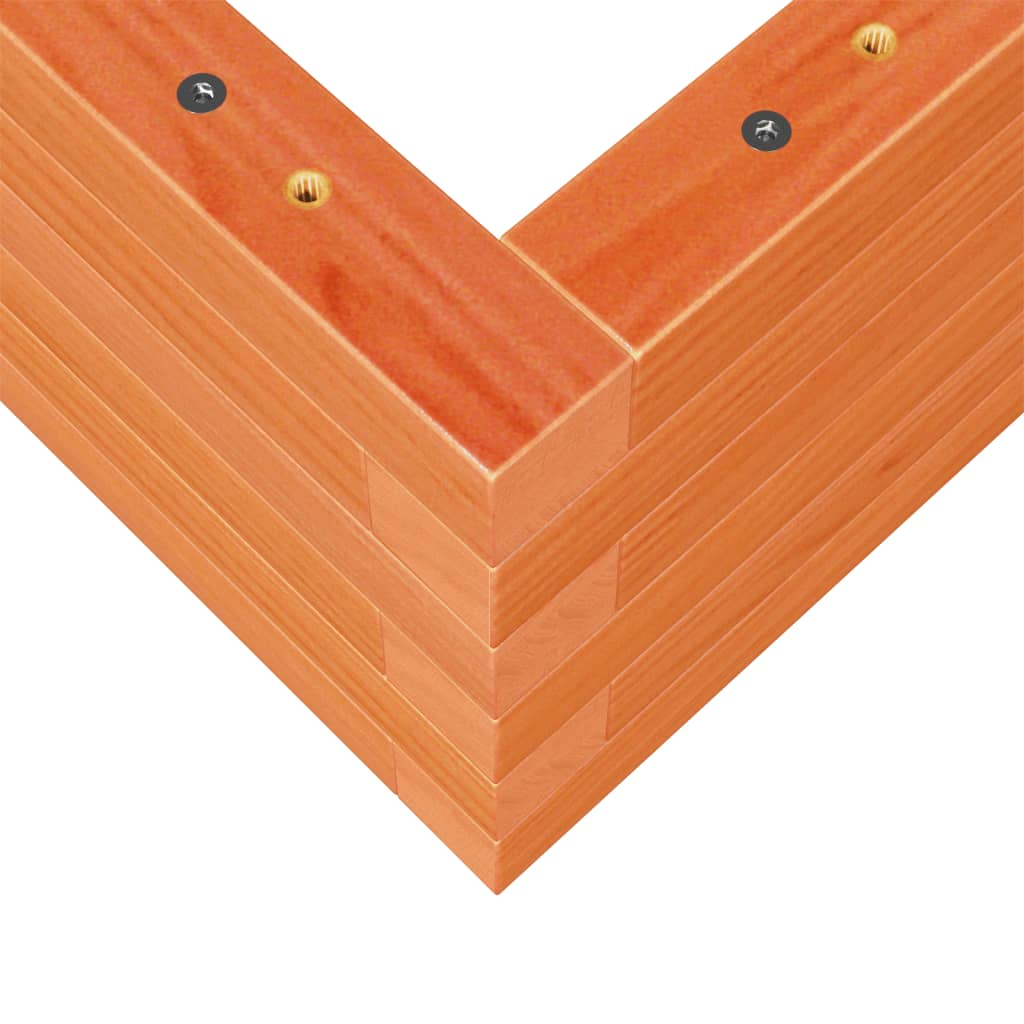69023788