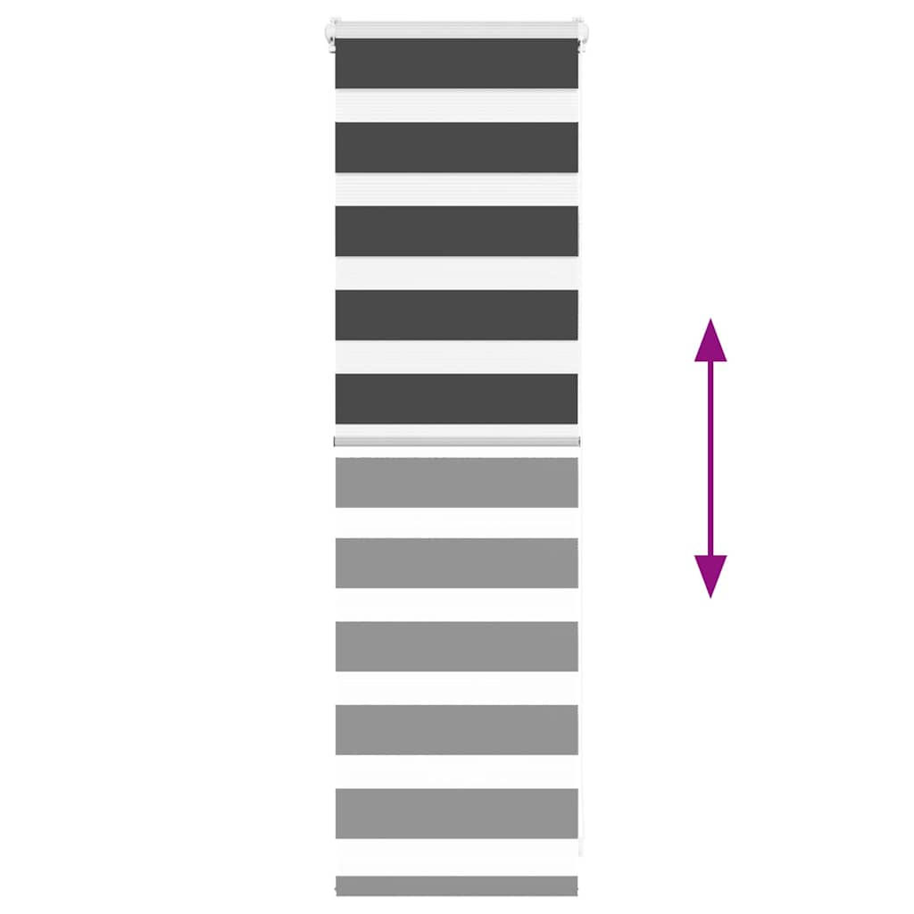 69080244