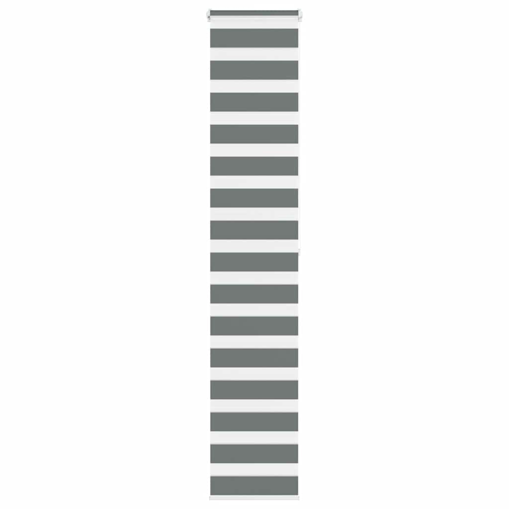 69020262