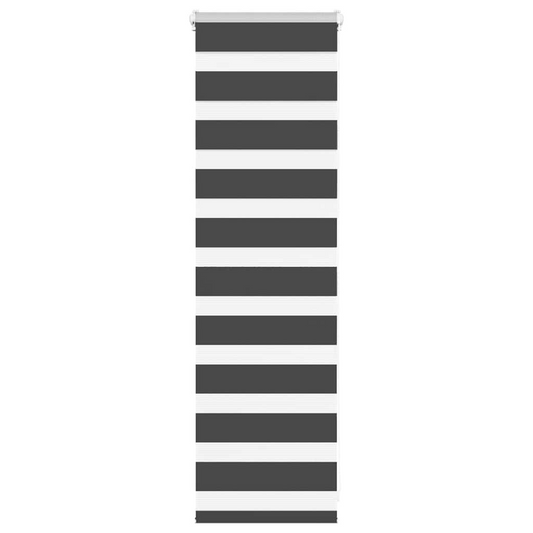 69035336