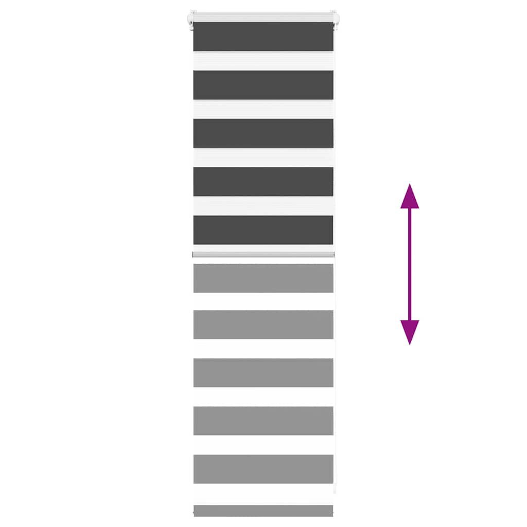 69109512
