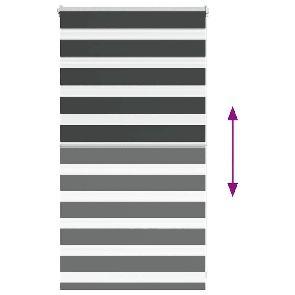68987011