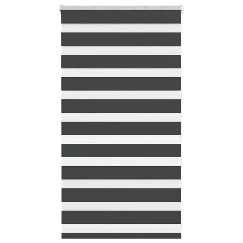 69064365