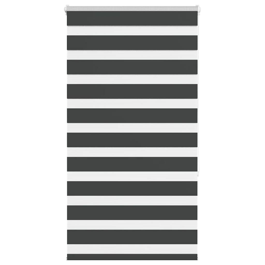 68987066
