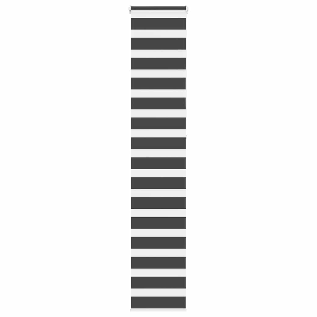 69035635