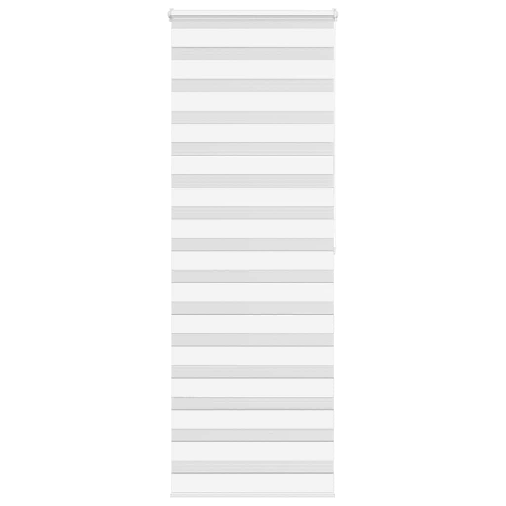 69064677