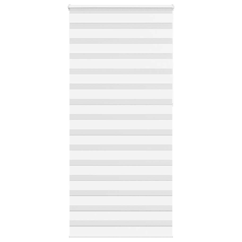69049700