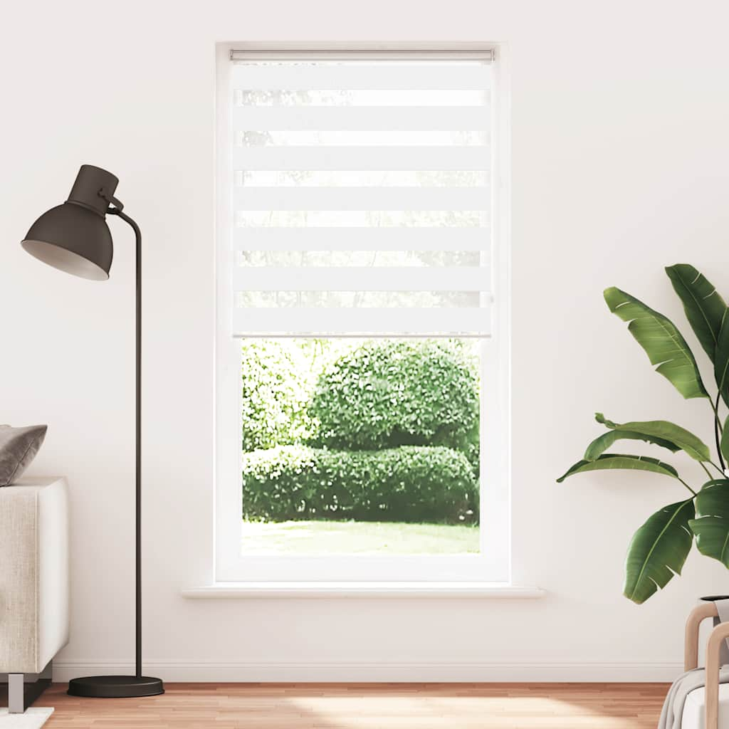 69049701