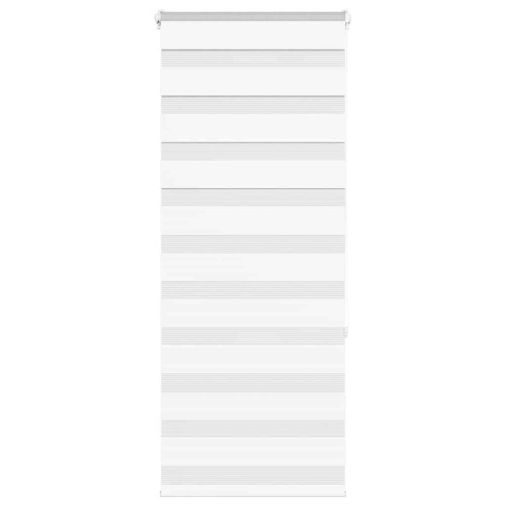 69064701