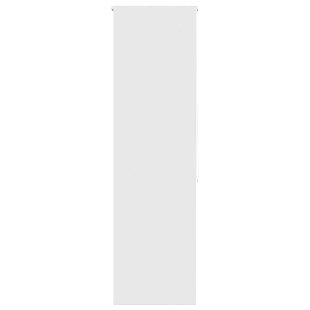 69074785