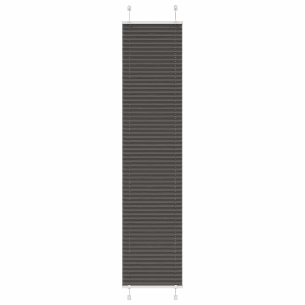 69037104