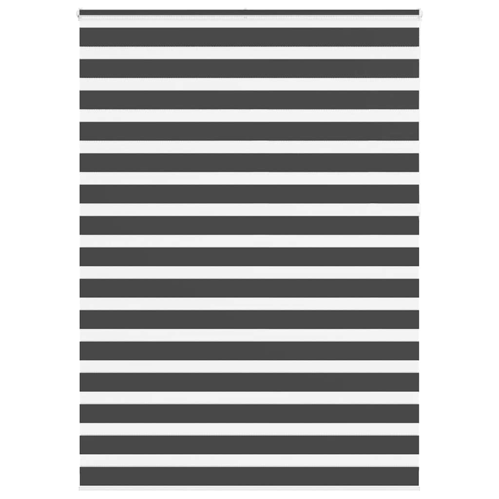 69036365