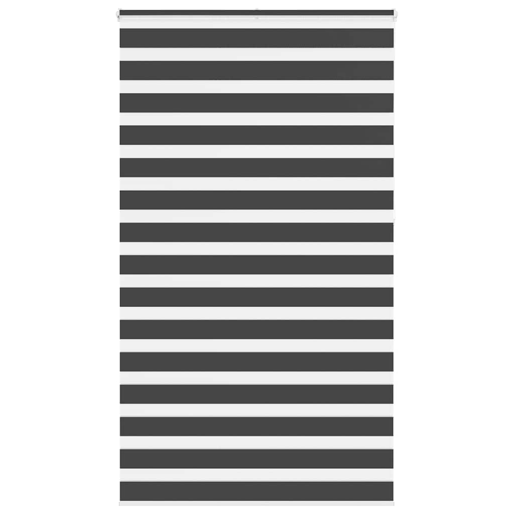 69036401