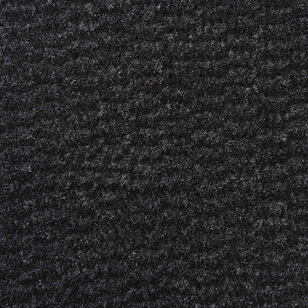 69037511