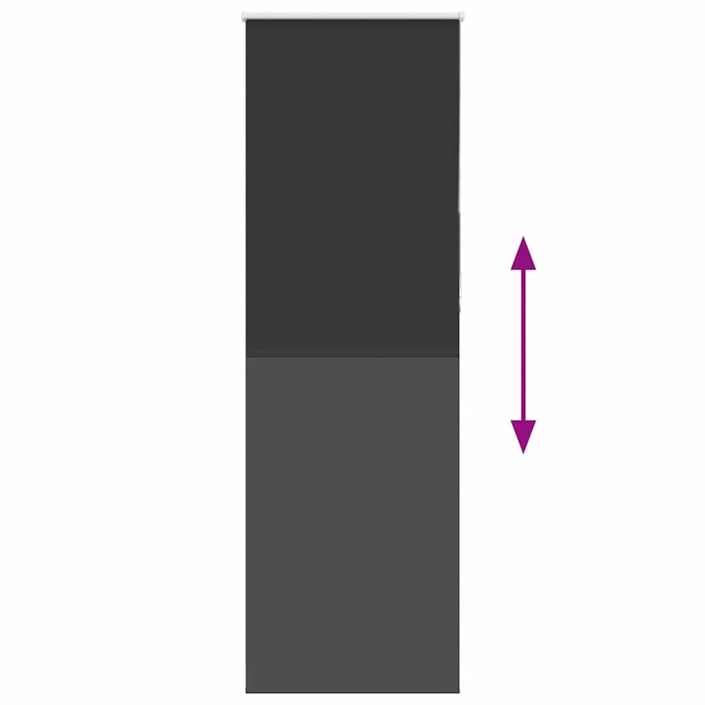 68965660