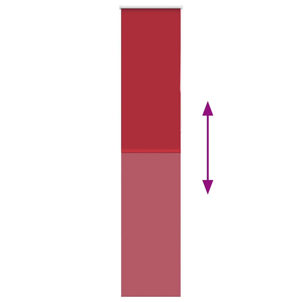 69003847