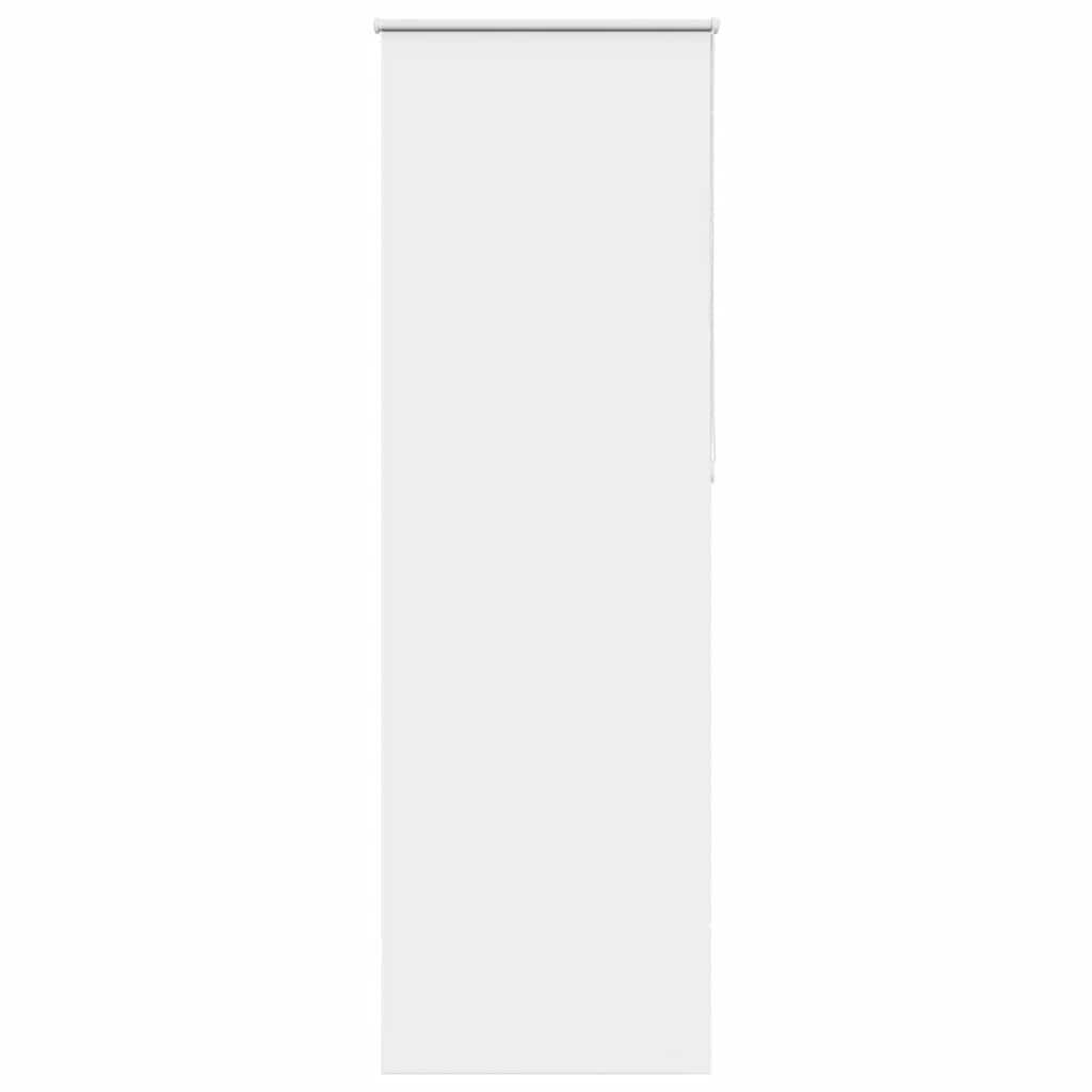 69101869
