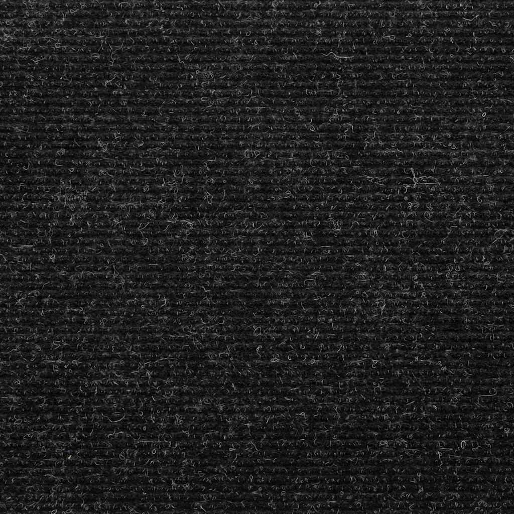 68978019