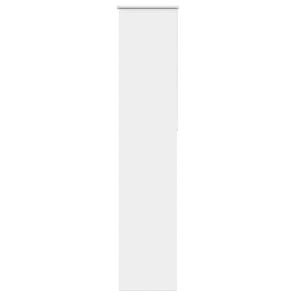69003950