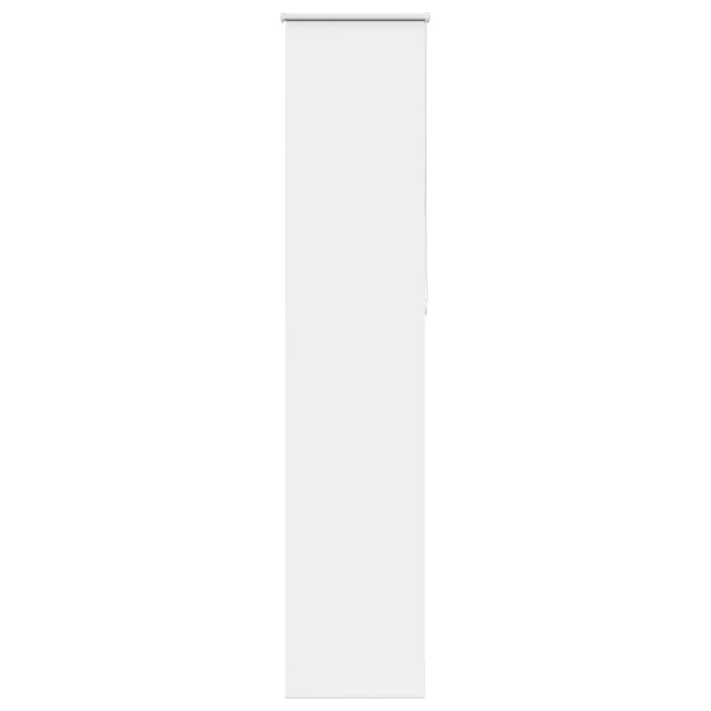 69003955